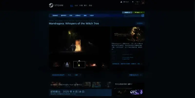 《秘影曼德拉》相关图片2