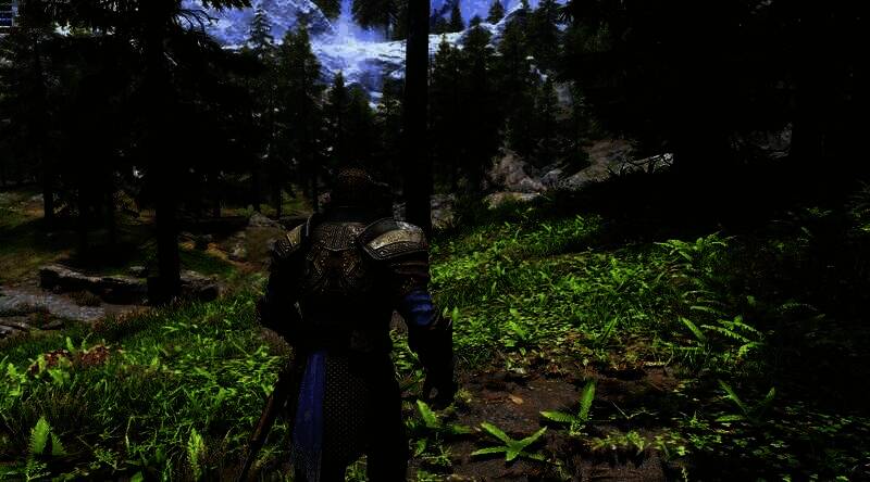 《上古卷轴5:天际》在英伟达RTX 5090显卡上运行画面