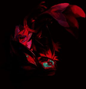 魅欲蝾螈形象图