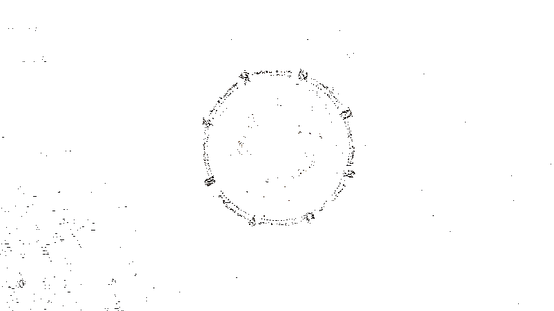 装备锻造时投骰子