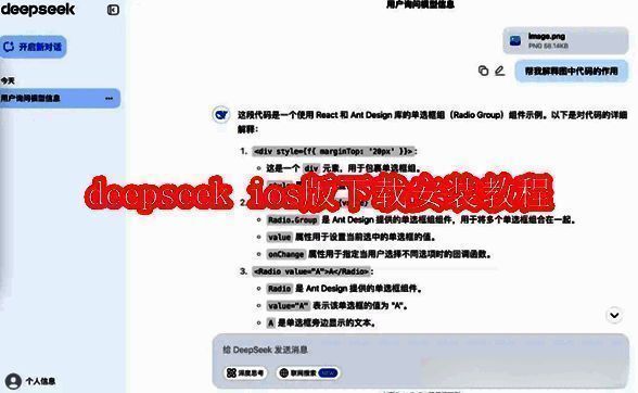 DeepSeek软件相关图片