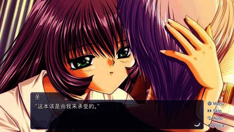 《AIR》游戏截图7