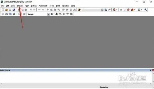 点击Project选项的界面图