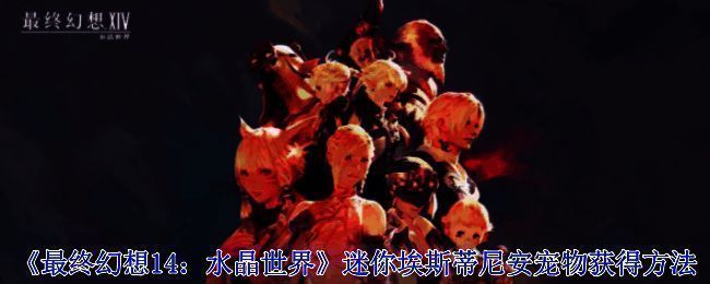 迷你埃斯蒂尼安宠物相关图片