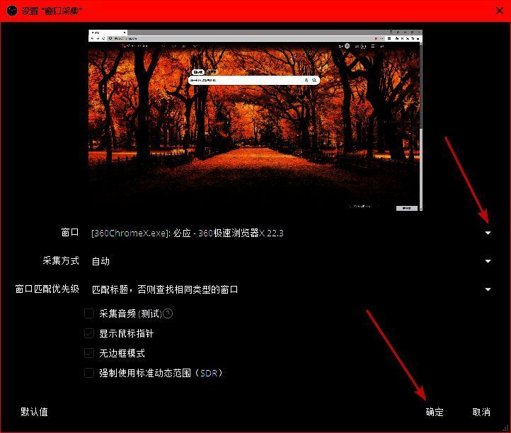 选择录制窗口及设置界面