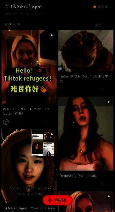 小红书风格变化相关图片