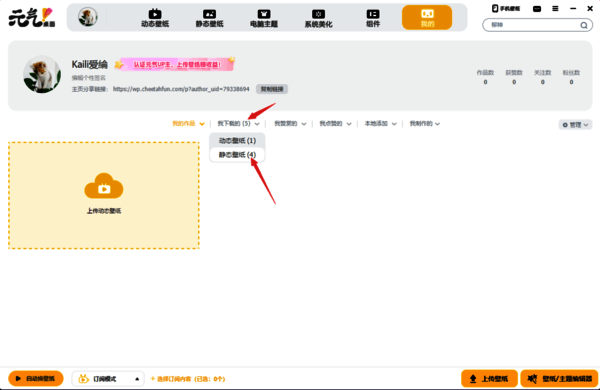 选择我下载的及静态壁纸界面