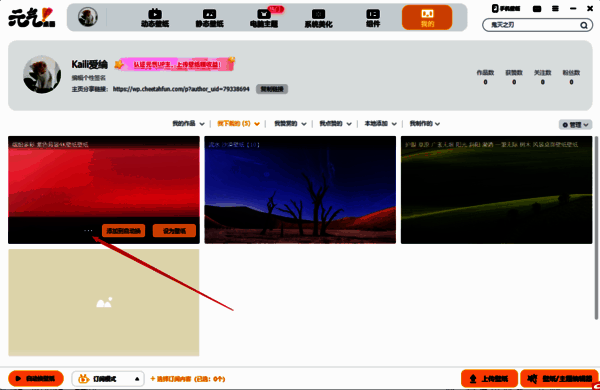 点击壁纸省略号图标界面