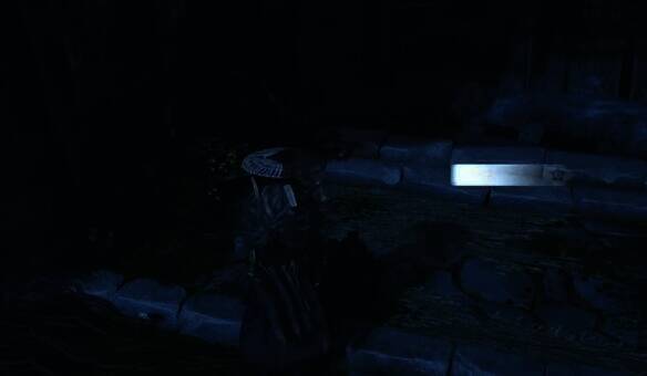 消灭竹隐居房子周围的狼