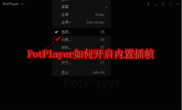 PotPlayer相关配图1
