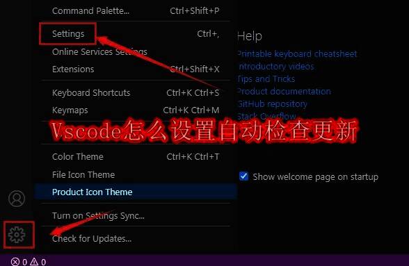 Vscode 软件界面图片