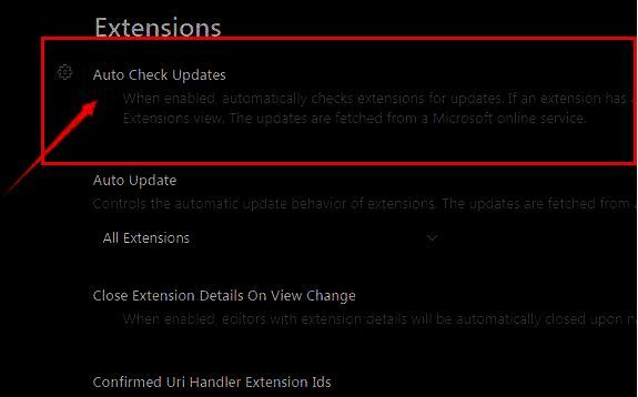 勾选自动检查更新选项的界面图片