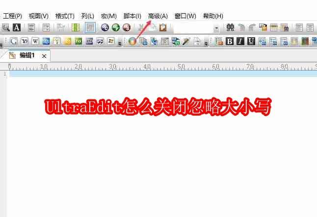 UltraEdit软件界面相关图片