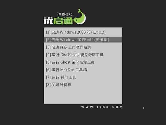 进入 PE 系统图片