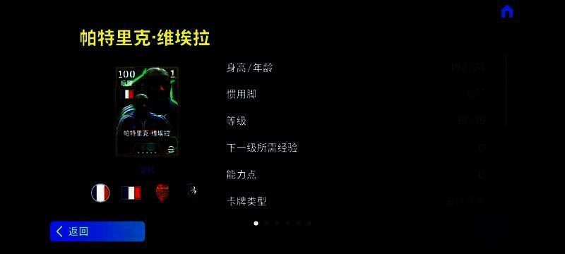 维埃拉赛场英姿图片