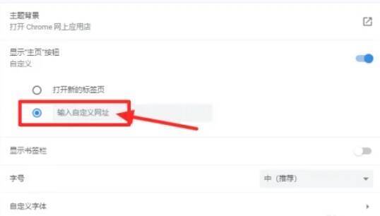 输入网址并验证主页设置