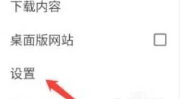 选择设置选项的界面