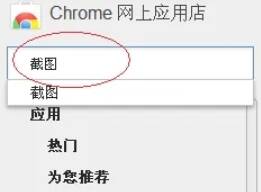 插件安装成功后浏览器右上角的图标