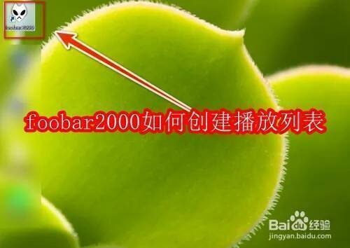 foobar2000软件界面相关图片