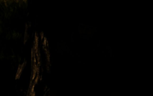 《天国:拯救2》修复湖中之斧相关画面