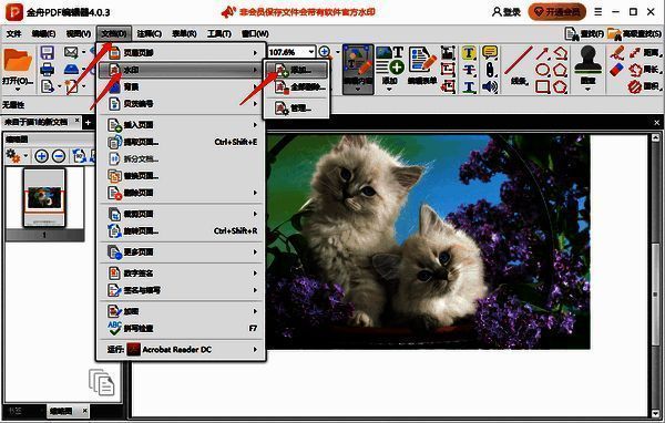 添加水印操作界面图片
