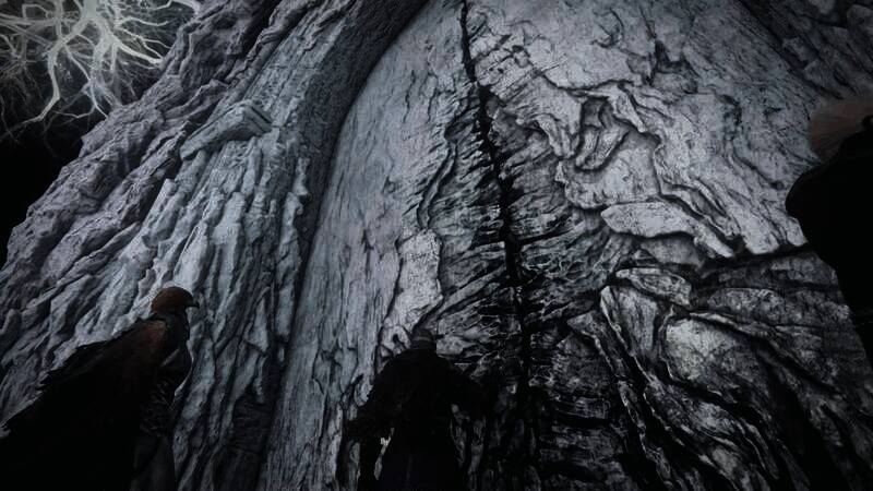 《艾尔登法环：黑夜君临》视频画面6