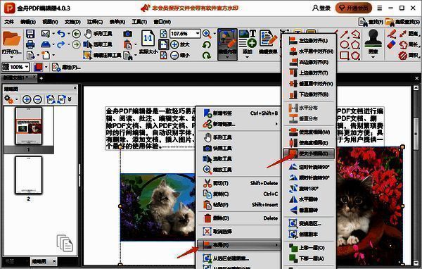 金舟PDF编辑器中调整图片大小操作配图