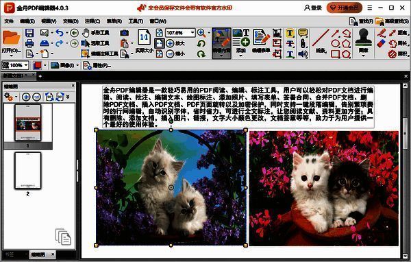 金舟PDF编辑器中图片大小调整好后的配图