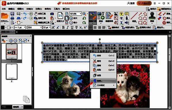 选中文本并右键选择段落操作图片