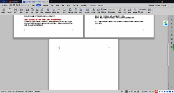 WPS 文档空白页示例图