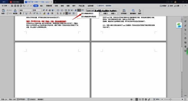 勾选显示/隐藏段落标记功能图