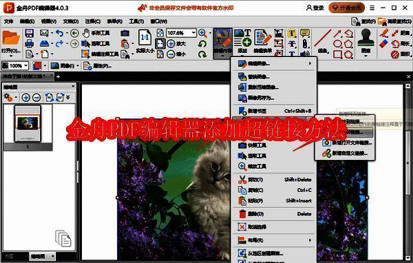 金舟PDF编辑器相关配图1