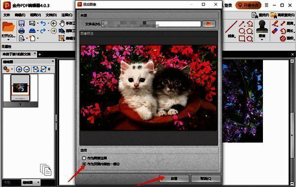 勾选并放置图片界面图