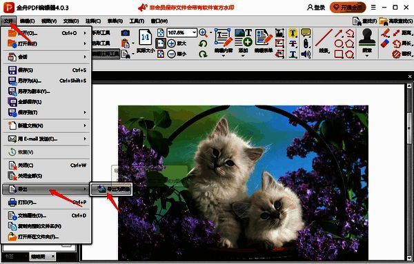金舟PDF编辑器导出选项界面图片