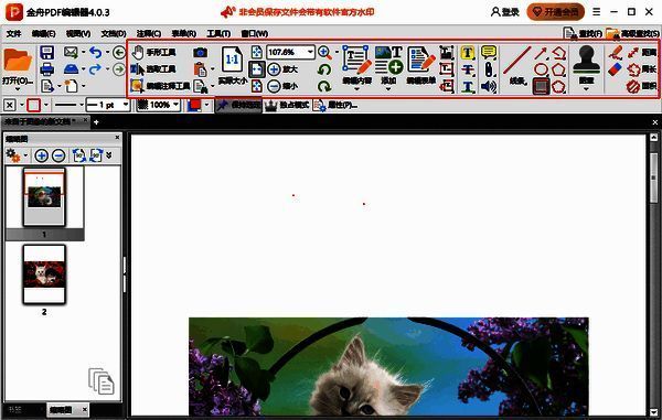 对PDF进行编辑的界面截图