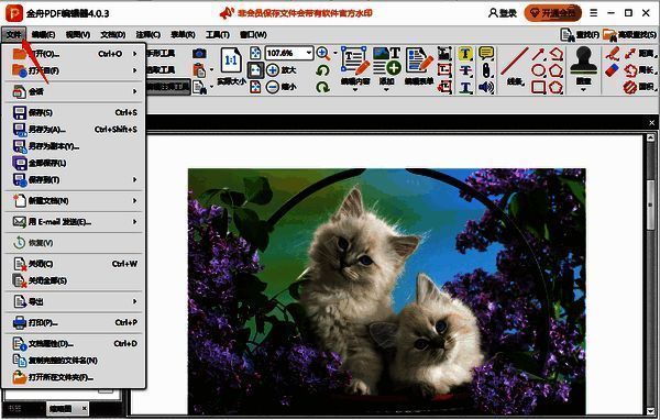 保存PDF文件的界面截图