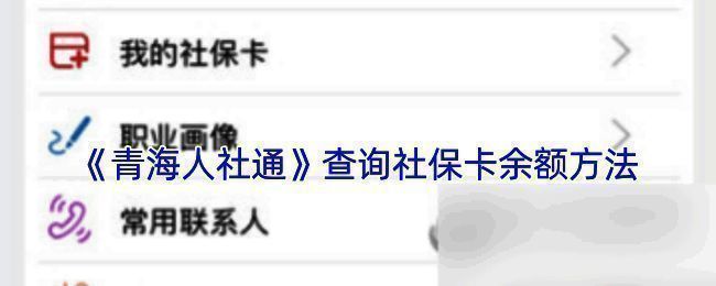青海人社通APP操作界面示例图