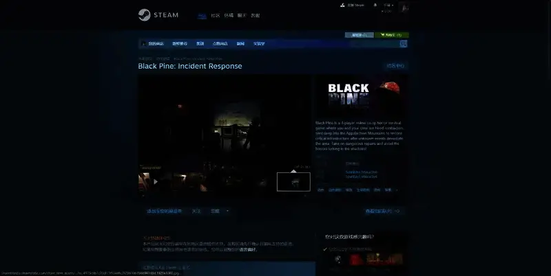 Black Pine: Incident Response游戏相关图片2