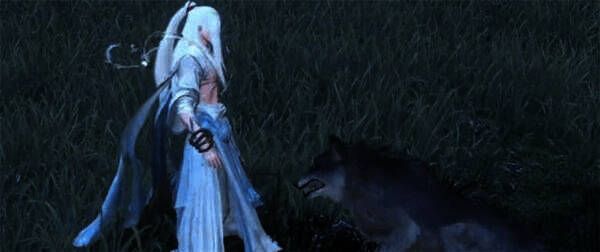 与野狼对话的画面相关图片