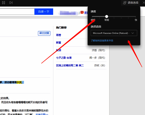 语音选项设置图