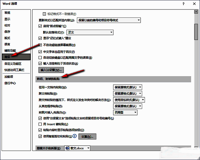 Word选项中高级选项卡及剪切复制粘贴设置区域界面图