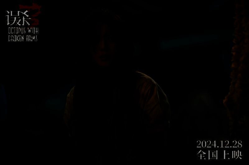 《误杀3》宣传图片4