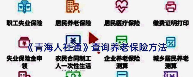 青海人社通查询养老金相关界面示例图1