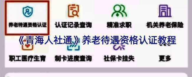 青海人社通 APP 相关界面截图