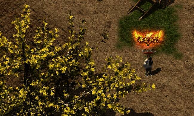 预充值活动相关画面