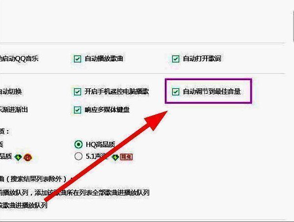 勾选自动调节到最佳音量界面图片