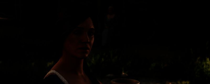 游戏中可能出现紫草的场景图片