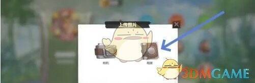 万龙觉醒更换头像页点击相册选项图