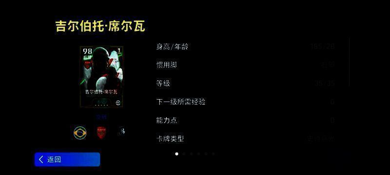 吉尔伯托·席尔瓦球员形象图片