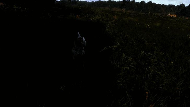 天国:拯救2游戏中扔石头画面相关